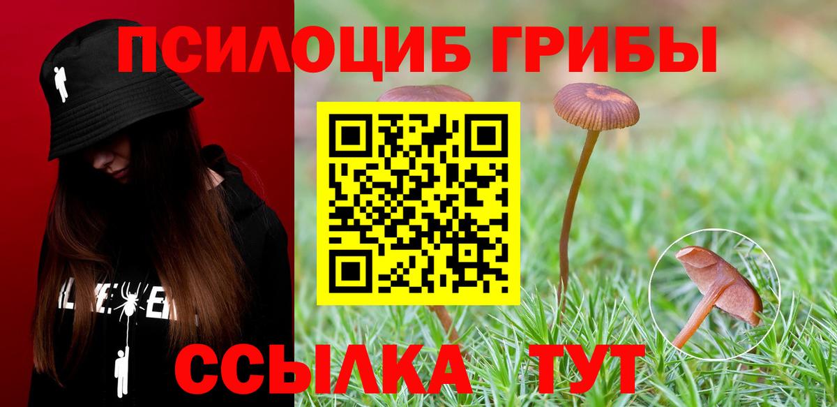 Галлюциногенные грибы Cubensis  купить наркотик  Орёл  Псилоцибиновые грибы Psilocybe  Вход с VPN 